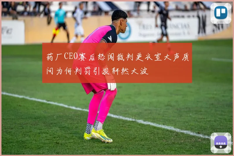 药厂CEO赛后怒闯裁判更衣室大声质问为何判罚引发轩然大波