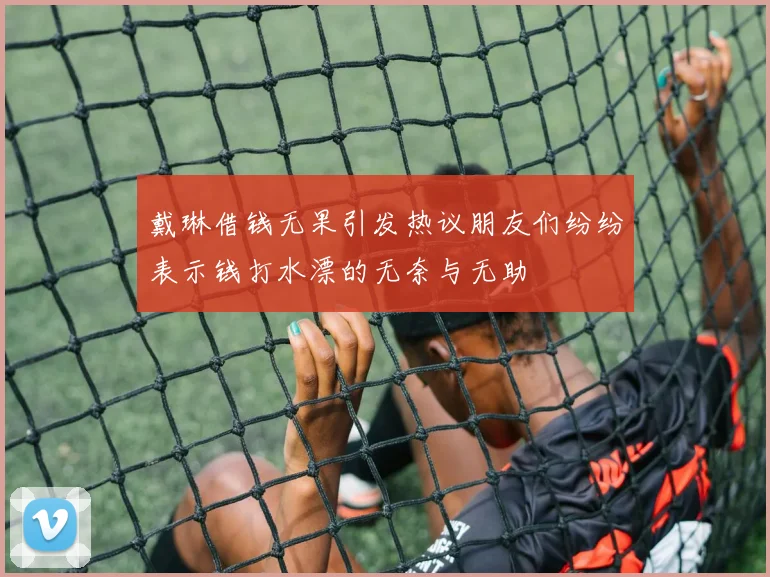 戴琳借钱无果引发热议朋友们纷纷表示钱打水漂的无奈与无助