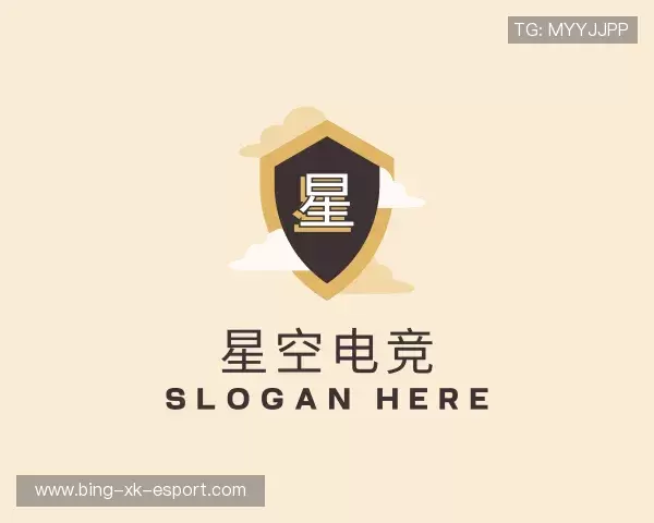 介绍星空电竞官网